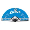 Lions de Détroit