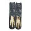 Eagle Claw