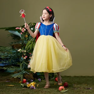 Striped Sleeve Flared Tulle Skirt Airy Texture Disney Princess Snow White Gown Girls Christmas Costume Dress for Children