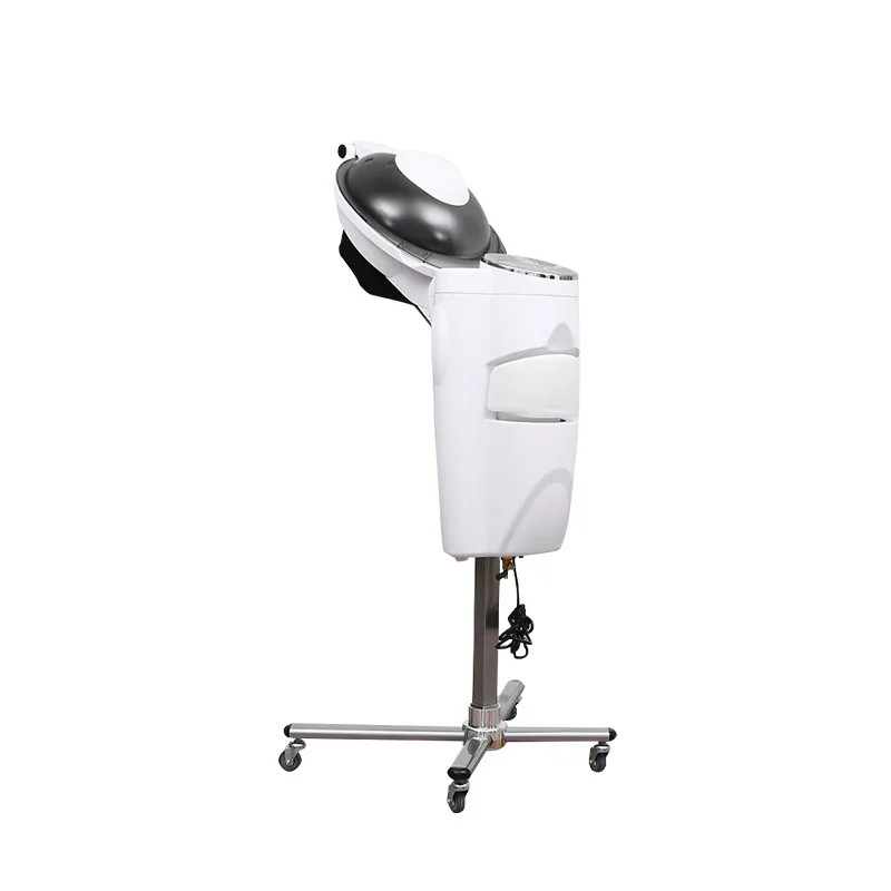 MICRO MIST スチーム加熱促進器 Multi-function Micromist Hair Steamer - Adjustable & Portable