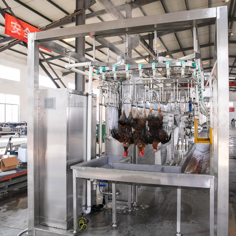 Продажа мобильного забойного домика для цыплят Qingdao ranничес