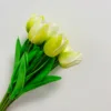 Verde chiaro