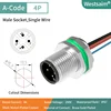 M12-A-4P male PG9