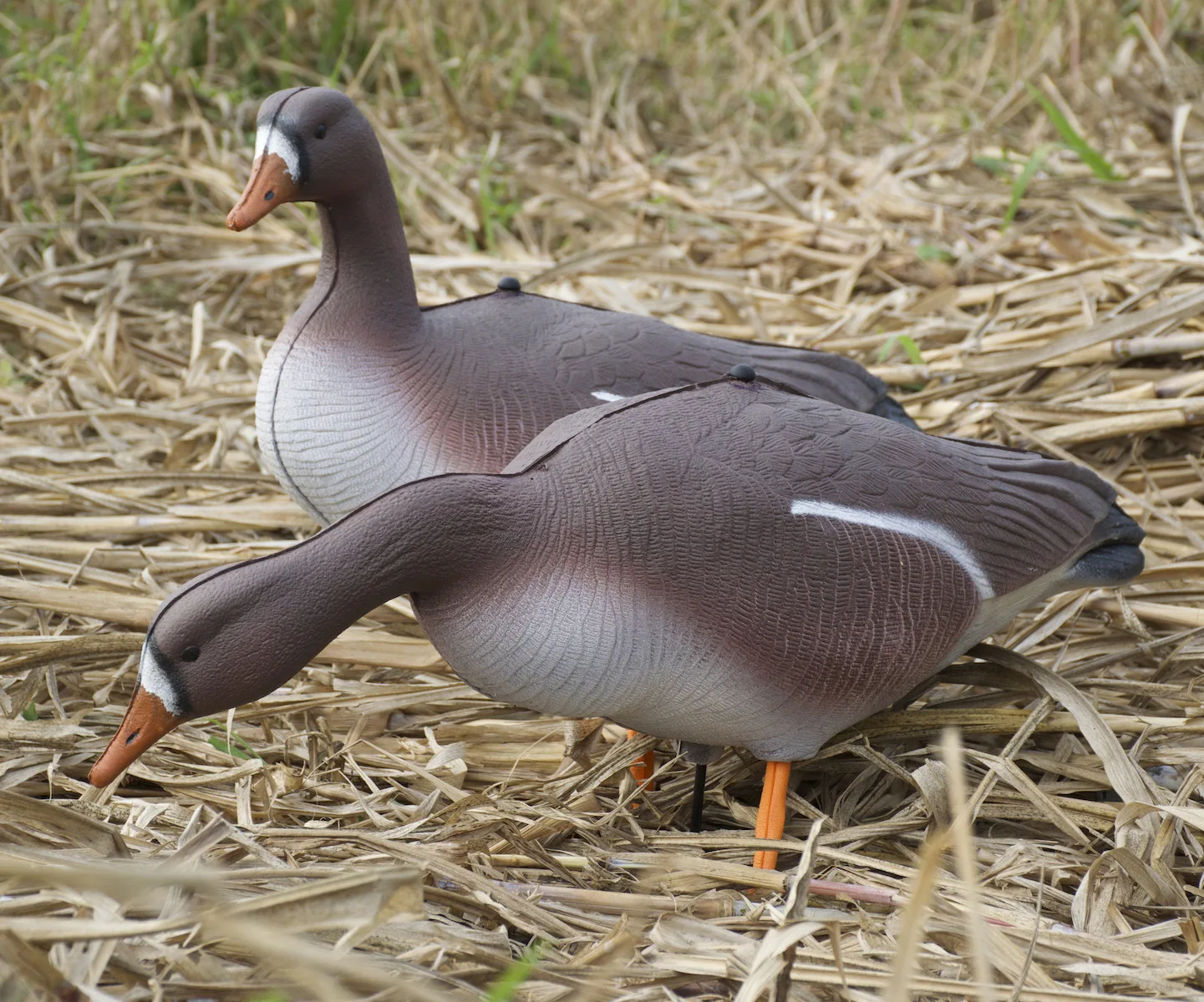 Plastic Eva Wild Collapsible Heads Socks Real Feet Windsock Grey