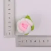 ผงแวววาวไล่ระดับ-กลีบกุหลาบฟองสีไล่ระดับ