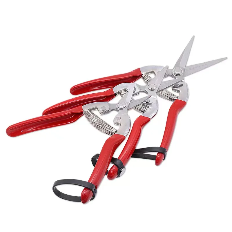 Factory Professional Tree apple Fruit Branches Garden Scissors Pruning Shears With Stainless Steel Blade