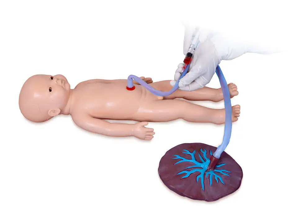 Factory Price Education Models Advanced Neonate Umbilical Cord Nursing Model with Placenta