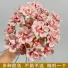 ดอกคามิลเลียสีชมพู-ก้านดอกไม้เคลือบพรีเมี่ยม