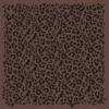 Espresso leopard print