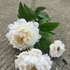 133 head deep feeling peony