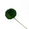 Hoja de loto verde oscuro