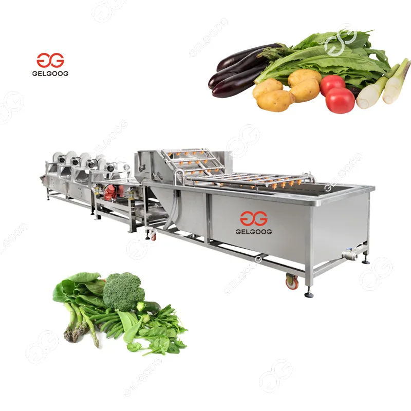 Commercial Clean Root Leafy Vegetable Asparagus Washing Equipment Line Vegetable Washing Peeling Machine