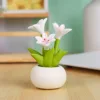 Flowerpot pixie-lily