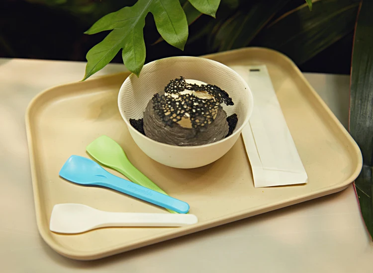 Compostable Individually Wrapped Cutlery Disposable Ice Cream Spoon Pla