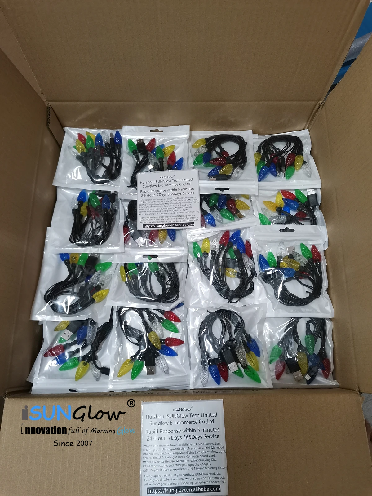 Christmas Light 10led Festival Lighting Led Light Phone Charger