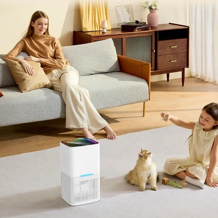 多機能タッチコントロールパネル付きコンパクト電動除湿器 取り外し可能な水タンク お手入れ簡単 理想的 4