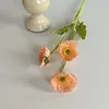 สีส้มชมพู