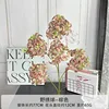 wild hydrangea