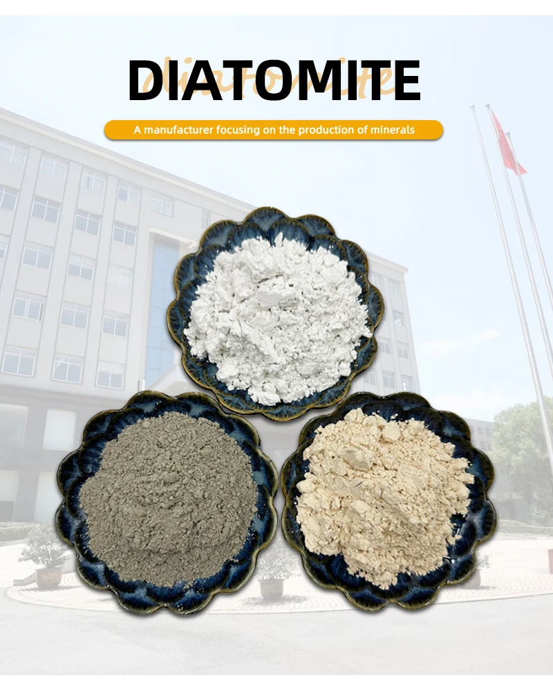 Manufacturer Supply High Quality 325 Mesh Diatomaceous Earth White Powder For Filter Of Water/Oil/Beer details