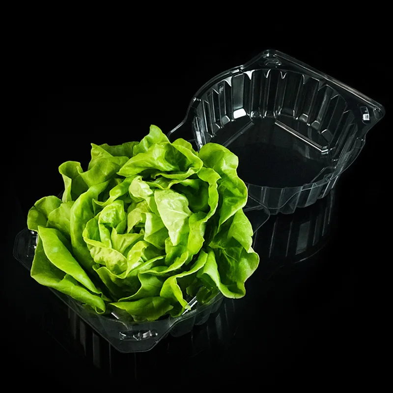 Clear Plastic Hinged Microgreen Clamshell Container Box Transparent