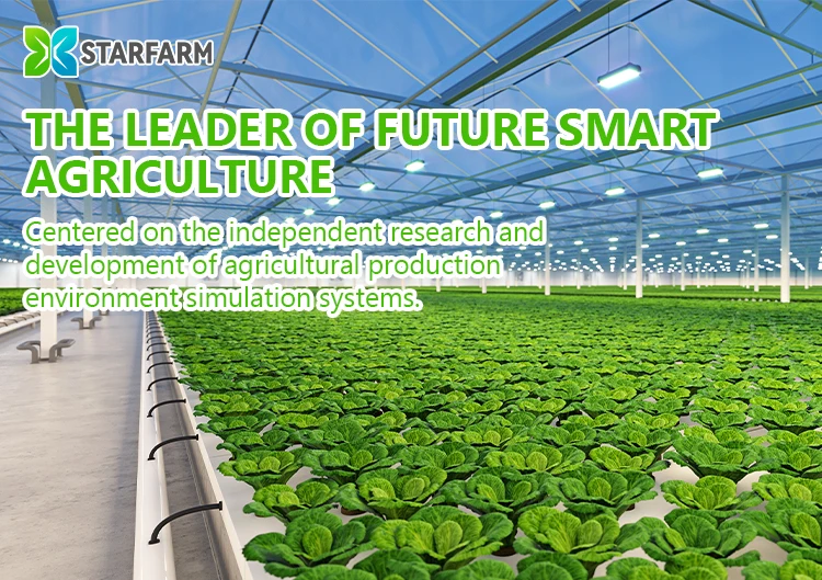 2026 New Design Indoor Vegetable Seedling & Cultivation Equipment