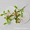 Short-branched island spring flowers - white and pink