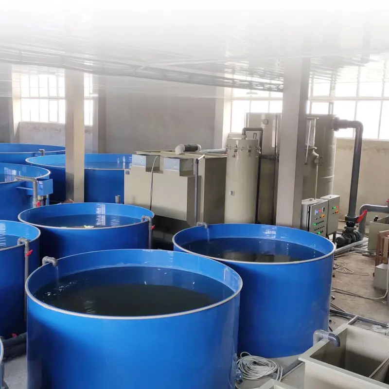 Indoor RAS Recirculating Aquaculture System for Shrimp/Fish Farming