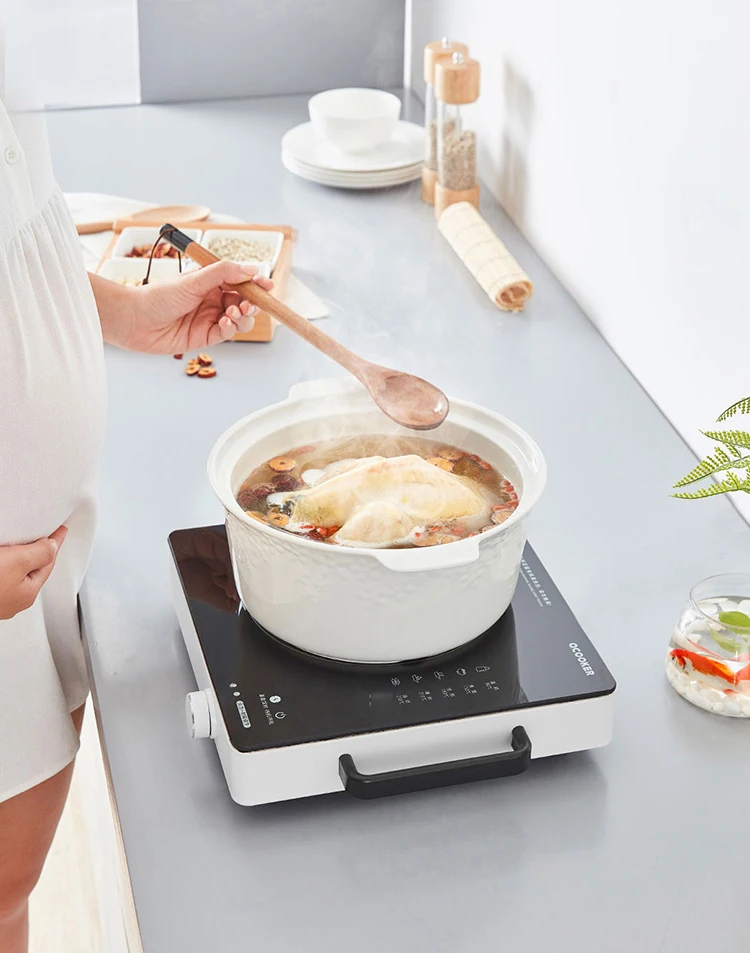 xiaomi mijia qcooker