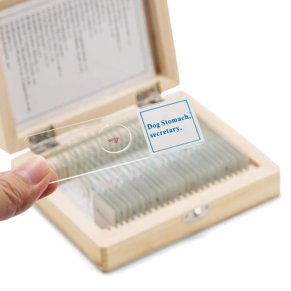 Tissue Slide Microscope Veterinary 25pcs Animal Histology Slides - Educational Microscopy Set