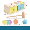 Montessori classification coin tapping box