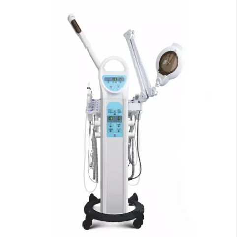 Professional 10 in 1 Multifunction Facial Beauty Machine Facial Steamer Face Deep Cleansing Equipment