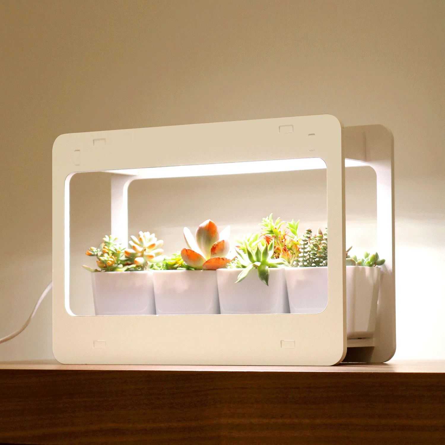 led mini garden grow kit full