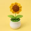 Pollo giallo-girasole finito in una piccola pentola bianca-6 cm