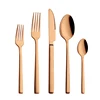Rose gold -5-piece set