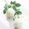 Dos flores de ranúnculo blancas de tres cabezas.
