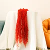 Lunghezza dell'orecchio rosso: 50-80 cm