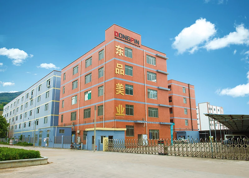 Guangdong Dongpin Beauty & Medical Technology Co., Ltd.