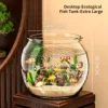 Acquario rotondo extra-large - ideale per l'acquascaping fai-da-te