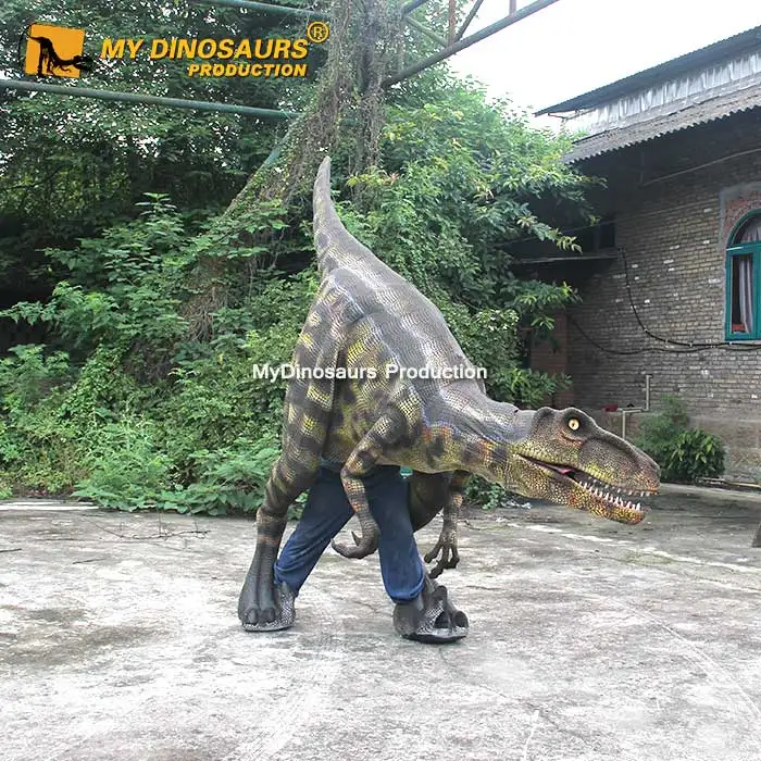 Back To School Special Custom made Iron on Dinosaur Clothing - Temu