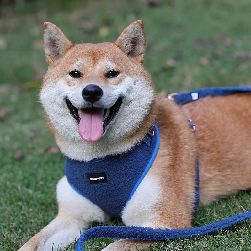 Wholesale Custom Sherpa Pet Accessories Dog Collar Outdoor Portable Durable Lamb Fleece Luxury