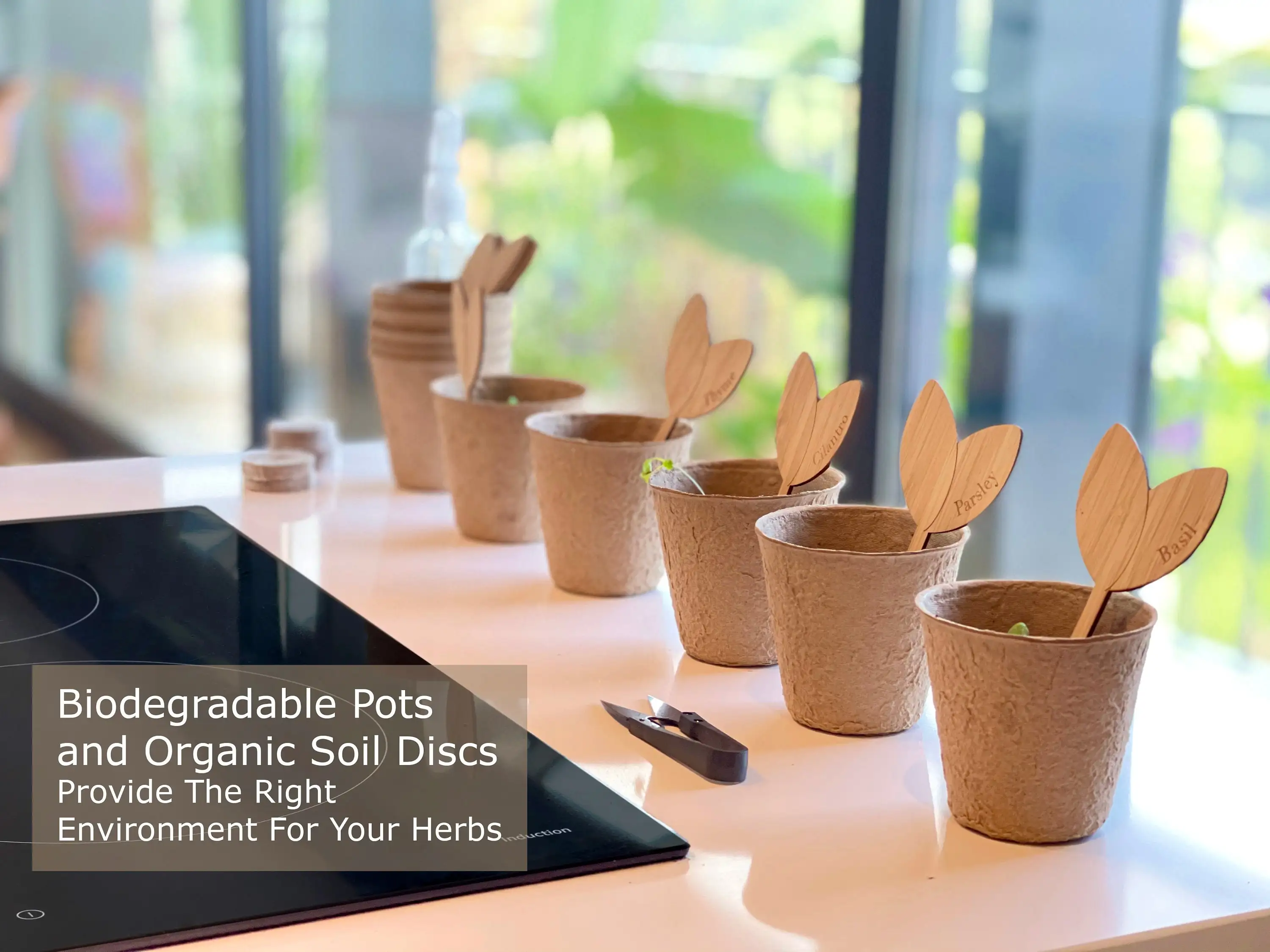 Indoor Herb Garden Starter Kit 10 Gardening Plantable Pack With Plant