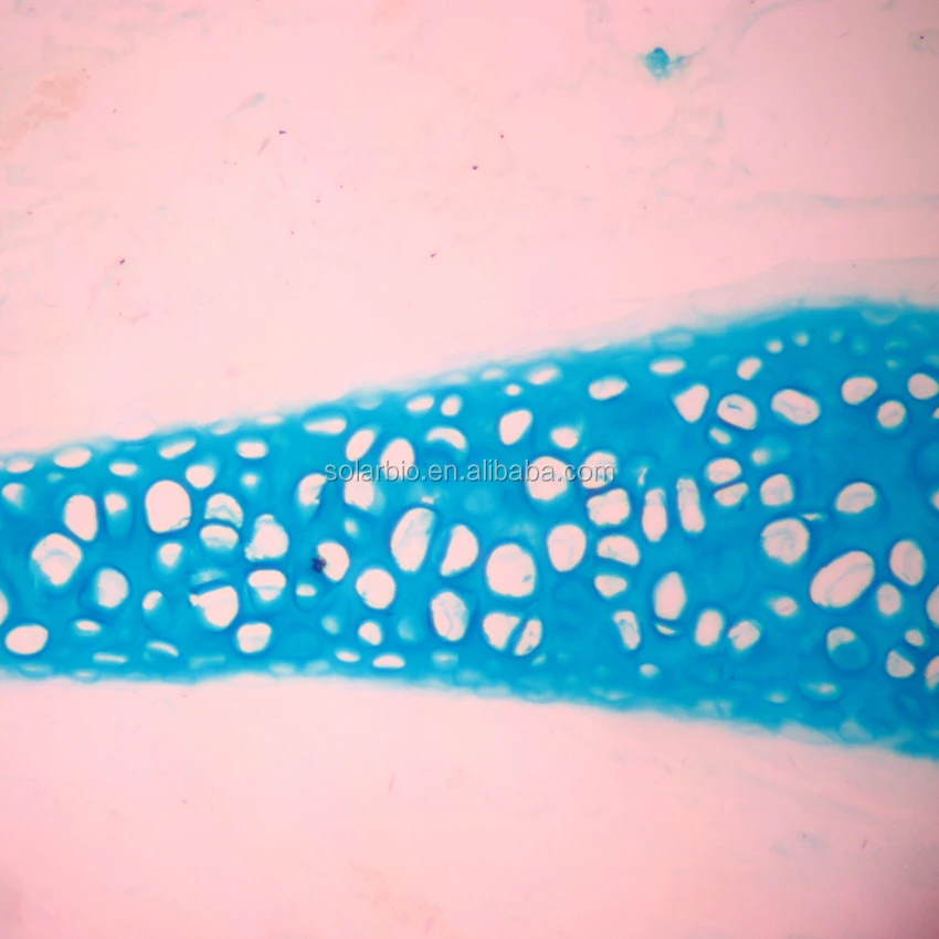 アルシアンブルー軟骨ステインキット、pH 1.0| Alibaba.com