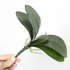 22cm verde