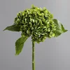 cardamome verte