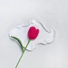 สีแดงคาร์มีน