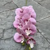 Hongmei