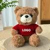 Orsetto di peluche marrone - maglione rosso
