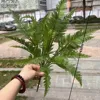 Double layer persian leaf green