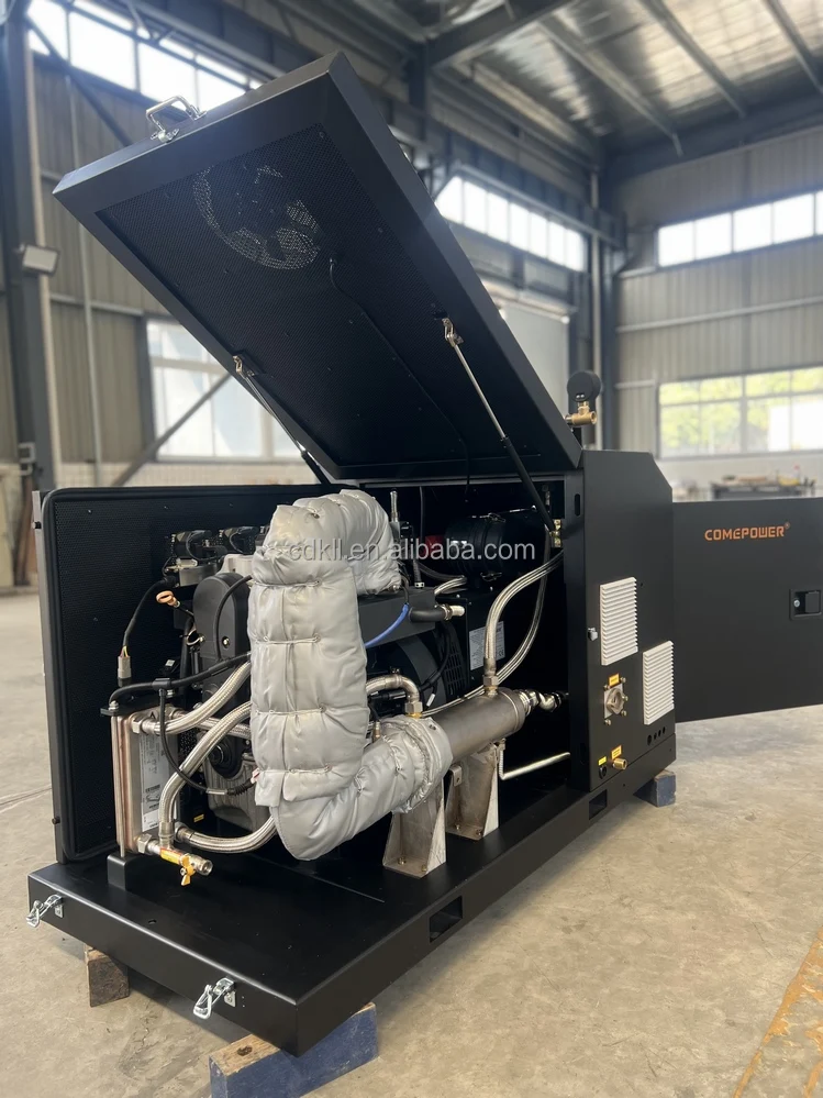 Silent Type  Sustainable Power Plant 20kw  3 Phase  Micro CHP  Biogas LPG  Natural Gas Generator for Sale