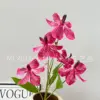 Orquídea